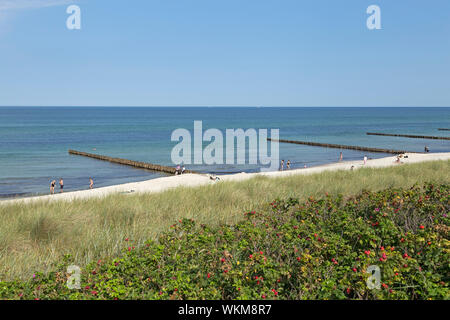 Plage, Ahrenshoop, Schleswig-Holstein, Allemagne Banque D'Images