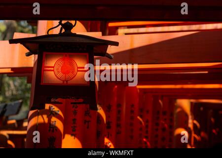 Fushimi Inari-Taisha à lampe, sanctuaire Shinto en face de portes Torii rouge, Fushimi Inari taisha-Hohaisho Okusha, Kyoto, Japon Banque D'Images