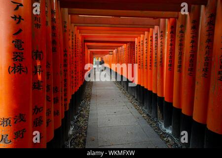 Fushimi Inari-Taisha à piétons, Shinto shrine, chemin à travers des centaines de Torii traditionnelles portes, Fushimi Inari taisha-Hohaisho Okusha, Kyoto Banque D'Images