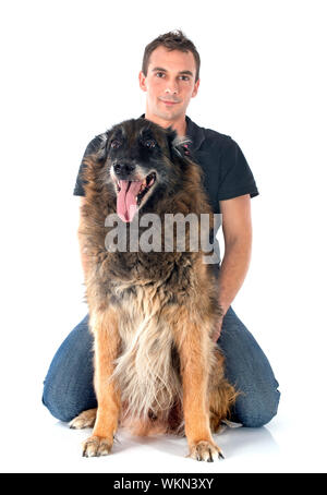 Vieux berger belge et man in front of white background Banque D'Images