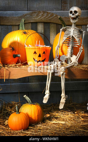 Citrouilles coloré et le squelette prêt pour l'halloween Banque D'Images