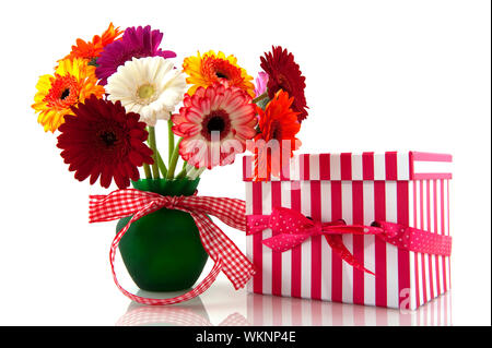 Magnifique bouquet Gerber colorés avec checkerer et ruban présent Banque D'Images