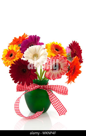 Magnifique bouquet Gerber colorés avec checkerer ruban dans vase isolé sur fond blanc Banque D'Images