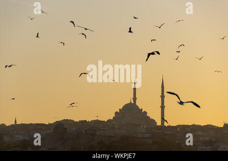 La silhouette de la Mosquée Yavuz Selim à Istanbul vue du pont de Galata où un troupeau de mouettes volent à la recherche du dîner. Banque D'Images