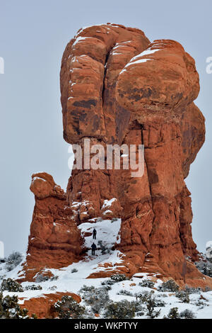 Entrada Sandstone piliers avec de la neige fraîche et le gel en un jour brumeux, Arches National Park, Utah, USA Banque D'Images