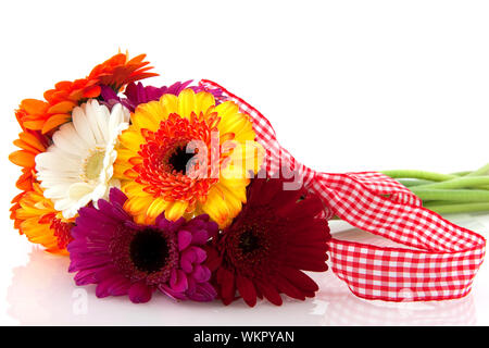 Magnifique bouquet Gerber colorés avec ruban checkerer isolated over white Banque D'Images