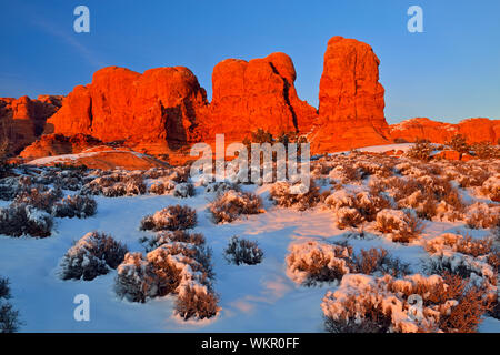 Lumière du soir à Elephant Butte de neige fraîche, Arches National Park, Utah, USA Banque D'Images