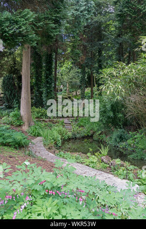 Un chemin à travers la forêt, les jardins de Thornbridge Hall, une maison de campagne, dans le Peak District, Derbyshire, Royaume-Uni Banque D'Images