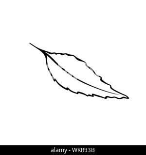 Feuille d'arbre hand drawn vector illustration. Coloriage antistress photo, les enfants coloriages de l'élément de conception. La flore de la forêt, de l'écologie, l'environnement naturel symbole contour isolé sur fond blanc Illustration de Vecteur