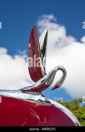 Libre d'un classique de l'automobile 1948 Packard hood ornament sur l'affichage à un salon de voitures dans la région de Matthews, Caroline du Nord. Banque D'Images