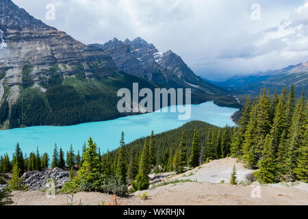 Vue aérienne de la magnifique lac Peyto au parc national Banff, Canada Banque D'Images