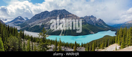 Vue aérienne de la magnifique lac Peyto au parc national Banff, Canada Banque D'Images