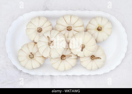 Belles décorations de table blanc de citrouilles. Banque D'Images