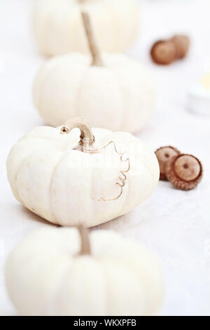 Belles décorations de table blanc de citrouilles et de glands. L'extrême profondeur de champ avec l'accent sur potiron avec vrille. Banque D'Images