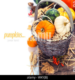 Composition d'automne ( citrouilles et de maïs sur la vieille table en bois). Jour de Thanksgiving concept (avec facile à retirer l'exemple de texte) Banque D'Images
