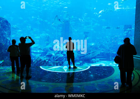 Silhouettes de personnes contre un grand aquarium Banque D'Images