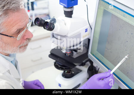 Scientifique en chef Senior microscoping dans le laboratoire de recherche en sciences de la vie ( diagnostics, biochimie, pharmacie, la génétique, la médecine légale, de la microbiologie, Banque D'Images