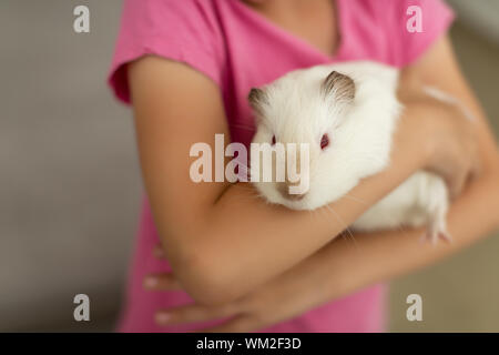 Rat blanc cute little girl dynamique dans les mains Banque D'Images