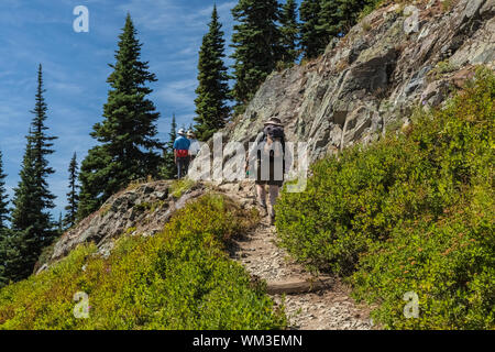 Randonnée le long du sentier en boucle Pic Naches Mount Rainier National Park, Washington State, USA [aucun modèle de presse ; disponible pour les licences de rédaction sur Banque D'Images