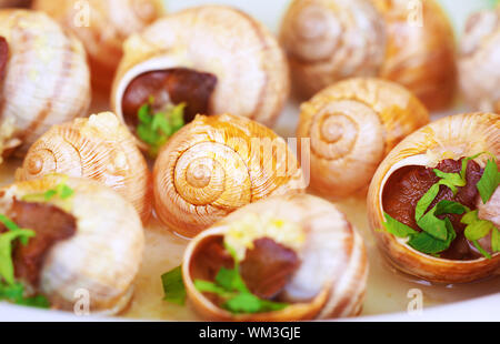 Arrière-plan escargot savoureux Banque D'Images