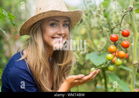 Belle blonde à la recherche de plante de tomate à la maison dans le jardin Banque D'Images