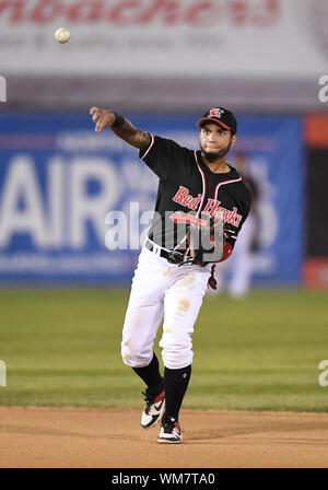 Fargo, ND, États-Unis d'Amérique. 16Th Jun 2019. Deuxième but FM Redhawks Carlos Garcia renvoie la balle à la cruche au cours de l'Association américaine de baseball professionnel Division Nord match de demi-finale entre la St. Paul Saints et le FM Redhawks au champ extérieur Newman à Fargo, ND. Les Redhawks a gagné 3-2. Photo par Russell Hons/CSM/Alamy Live News Banque D'Images