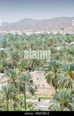 Vue du fort aux bâtiments et des palmiers de la ville Nizwa, Oman Banque D'Images