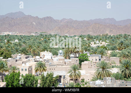 Vue du fort aux bâtiments et des palmiers de la ville Nizwa, Oman Banque D'Images