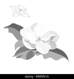 Magnolia tree flower isolated on white background. Silhouette Contour d'un rameau en fleurs. Vector illustration Illustration de Vecteur