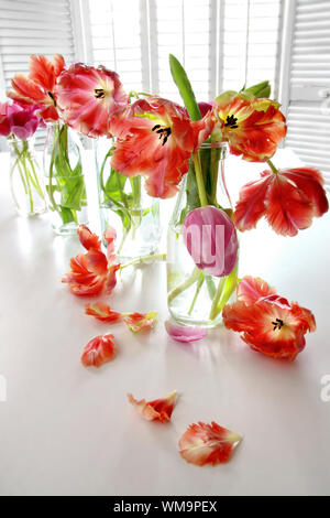 Tulipes au printemps coloré dans la bouteille de lait vieux Banque D'Images