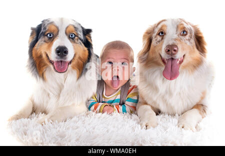 Bébé de trois mois et les chiens in front of white background Banque D'Images