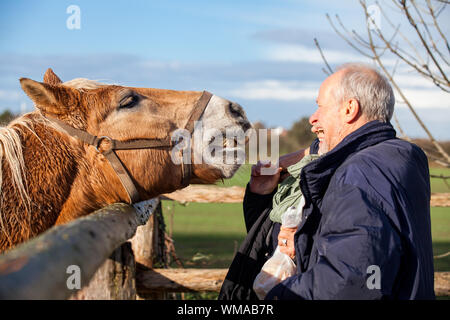 Couple de personnes âgées de flatter un cheval dans un enclos Banque D'Images