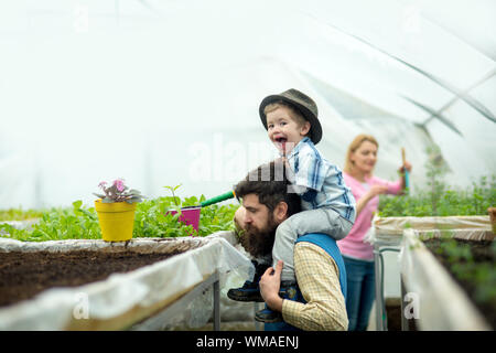 Vue de côté kid dans Fedora hat la plantation fleur en serre. L'homme brutal avec longue barbe et moustache holding cute boy sur ses épaules. Enfance heureuse Banque D'Images