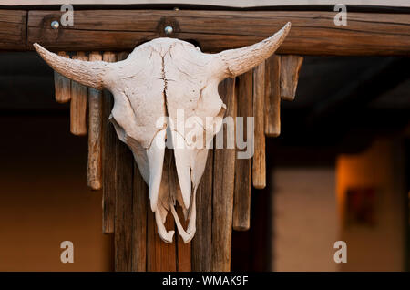 Crâne de vache de hanging on wooden post Banque D'Images