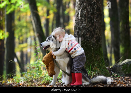 Cute little girl hugging dog husky en parc. Bon beau temps, le soleil et les modèles mignon Banque D'Images