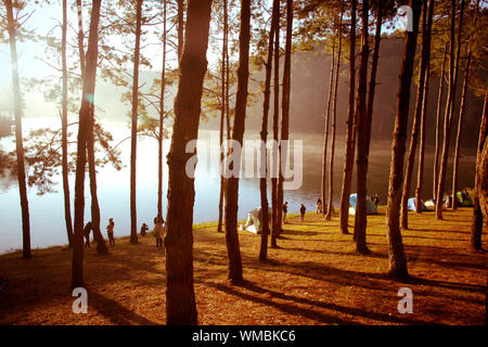 Pang Tong sous Royal Forest Park ( Pang ung ) Banque D'Images