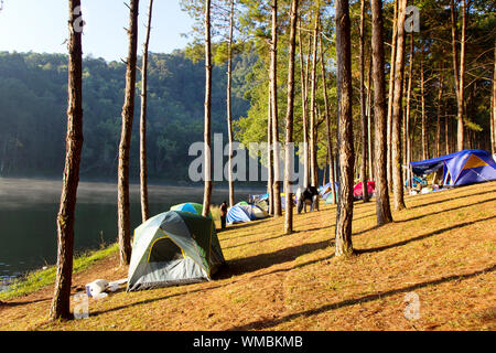 Pang Tong sous Royal Forest Park ( Pang ung ) Banque D'Images