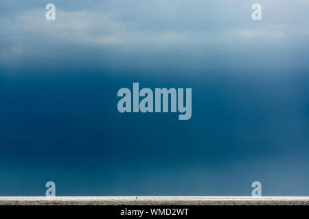 Le Relais Du Lac, Norderney, Meer, Himmel, Wolken, Dunkel, Horizont, tonne Banque D'Images