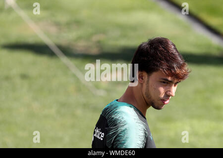 Lisbonne. 16Th Jun 2019. Le Portugais Joao Felix regarde pendant une session de formation à Cidade do Futebol (Football) camp d'entraînement à Oeiras, banlieue de Lisbonne, Portugal, le 4 septembre 2019, l'avant de l'UEFA EURO 2020 match qualificatif. Crédit : Pedro Fiuza/Xinhua Banque D'Images