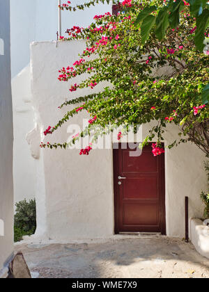 Mur Blanc de l'ancien monastère de Panagia Tourliani avec porte à côté de belle journée d'été sur bush en fleurs Banque D'Images