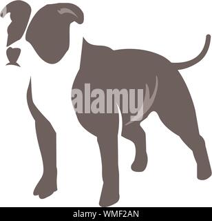 Image vectorielle d'un chien pitbull terrier sur fond blanc Illustration de Vecteur