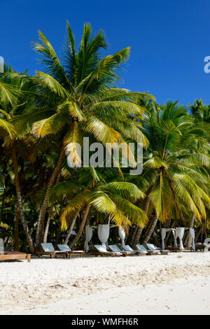 Palm Beach, île de Isla Saona, Parque Nacional del Este, la République dominicaine, Caraïbes, Amérique Latine Banque D'Images