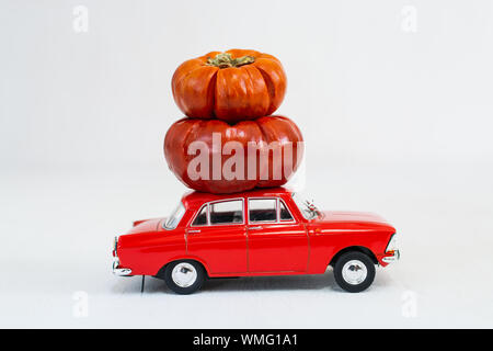Petite voiture vintage rouge avec de petites citrouilles helloween sur le toit. Image isolé sur fond blanc. Banque D'Images