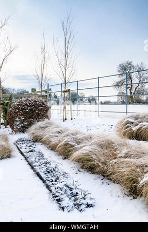 Frontière herbacées avec élégant et contemporain (herbes & topiaire en lignes) - petit coin de jardin d'hiver couvert de neige - Yorkshire, Angleterre, Royaume-Uni Banque D'Images