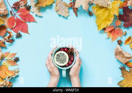 Coupe confortable de boisson saine avec main de femme à la canneberge et coloré feuilles autour de l'automne sur bleu. Composition d'automne. Motif de l'automne. Vue d'en haut. Banque D'Images