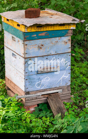 Abeille ruche en bois patiné, avec fond vert de la végétation Banque D'Images