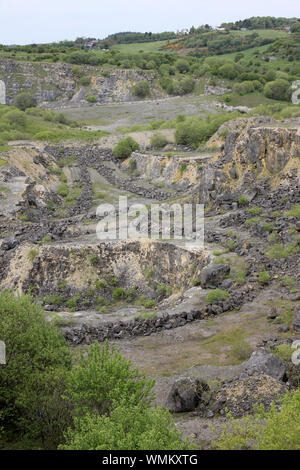 Carrière de Minera - une ancienne carrière de calcaire à ciel ouvert au nord du Pays de Galles maintenant une réserve naturelle de fiducie de la faune Banque D'Images