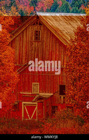 Grange de pays au cours de l'automne feuillage, Stowe, Vermont, Etats-Unis Banque D'Images