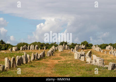 Alignements de Kermario, rangées de pierres - Menhirs, le plus grand site mégalithique du monde, Carnac, Bretagne, France Banque D'Images