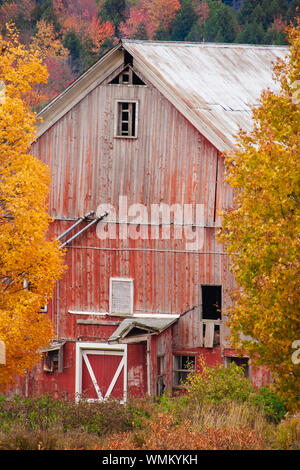 Grange de pays au cours de l'automne feuillage, Stowe, Vermont, Etats-Unis Banque D'Images